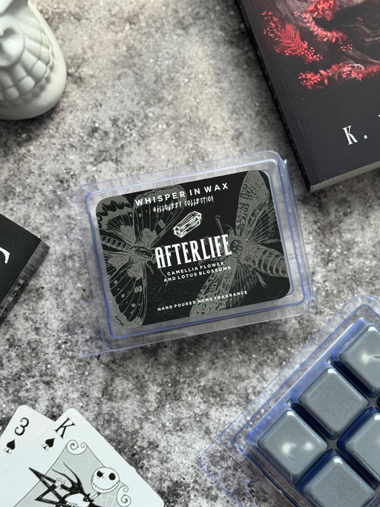 Afterlife