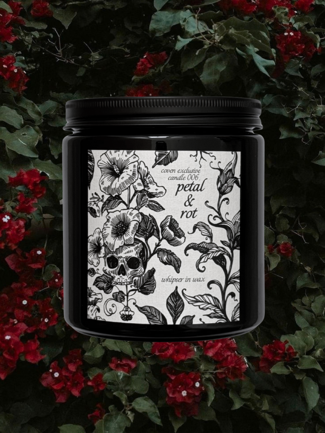 One-Off Coven Box (October 2026)